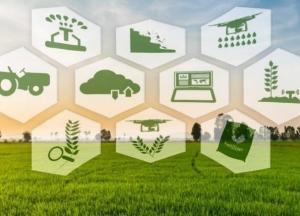 Актуальные проблемы агросектора