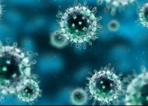 О кашле, прогулках и сексе: ответы на вопросы о коронавирусе