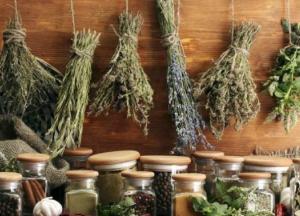 Названы топ-средства для выведения камней из почек