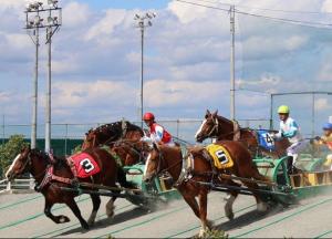 Ban'ei — самые медленные скачки в мире (видео)