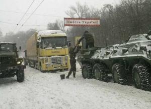 Жизненный опыт приходит с гАдами (фото, видео)