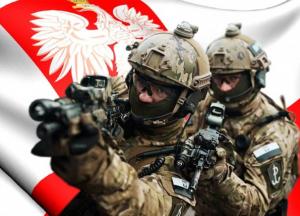 "Польським фермерам гнучка система знижок": ЗСУ можуть підготувати поляків до майбутньої війни