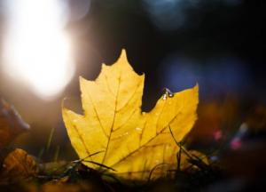 3 ноября: какой сегодня праздник, приметы дня и что нельзя делать