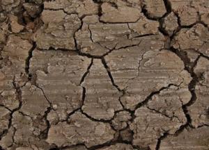 Исследования доказывают, что употребление грязи в пищу может помочь похудеть