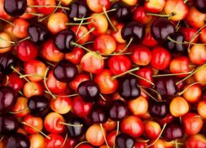 Вишня или черешня: что полезнее