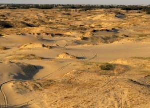 Пустеля буде не тільки в Олешківських пісках: чому Україна може втратити свої ґрунти