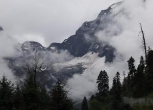 Журналист: Пришло время заселить украинские леса духами гор