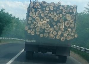 Превращение Донбасса в пустыню продолжается