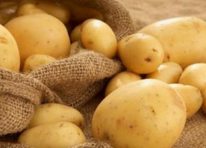 Почему картошка в Украине подорожала вдвое и ждать ли отката цен