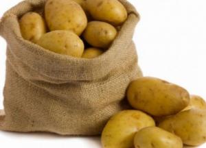 «Золотая» картошка: какими будут цены осенью и зимой