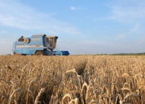 Земельная реформа в Украине: отобрать и поделить