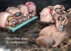 Рада дала старт новому этапу приватизационного дерибана