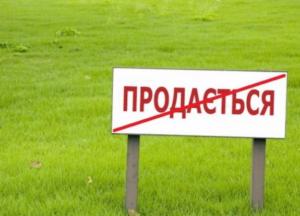 Мораторій на продаж землі - збереження корупції і звичайний популізм