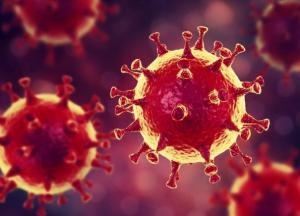 Страны одна за одной вводят чрезвычайный режим из-за коронавируса