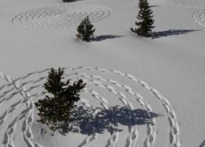 «Сердце вздрогнет и замрет»: что на самом деле ждет Украину после выборов