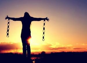 Ничего не бывает даром: бесплатный сыр - только в мышеловке