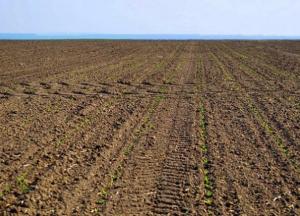 ​Еще один год моратория. Еще один год бедности