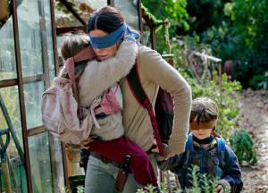 Netflix предупреждает людей об опасности «Bird Box Challenge», но не все слушают