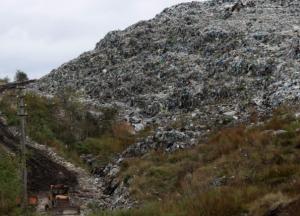 Сміттєва мафія або синдром Грибовичів