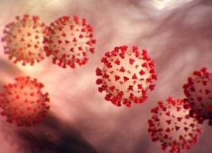 Вакцина и лекарства от коронавируса: когда они появятся