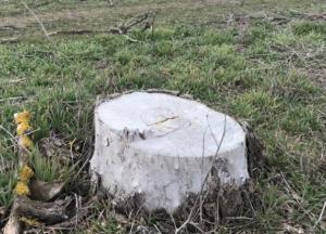 Новости Крымнаша: Бабло заканчивается - остались только зрелища