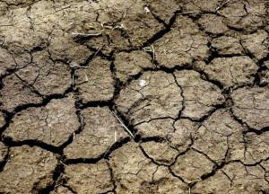 «Кара небесная»: как Севастополь боролся с засухой