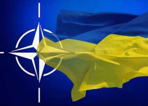 Референдум про членство в НАТО ускладнить винесення України на геополітичний торг