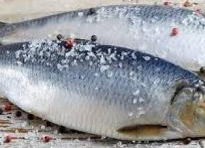 Недорогая рыба, в которой присутствуют все необходимые микроэлементы