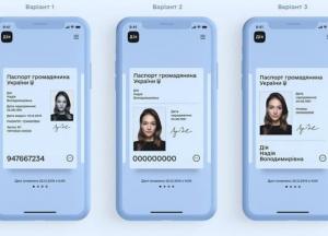 Электронный паспорт вместо бумажного 