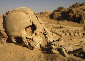 Крым окончательно превратят в пустыню