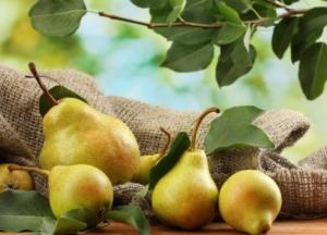 Натуральне джерело харчових волокон: 8 фактів про грушу