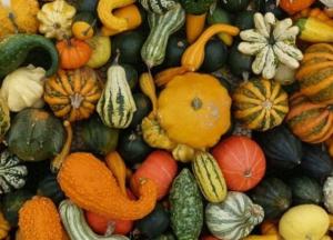 Овощ, который замедляет старение и предотвращает развитие рака