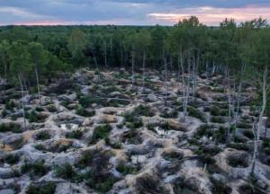 «Это Дикий Запад. Люди сошли с ума». Расследование National Geographic о янтарной лихорадке в Украине