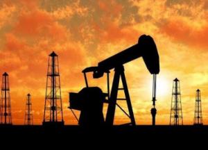 Нефтяная война: расчет или просчет Кремля