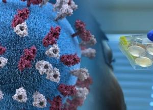 Covid-19: почему нет единства среди экспертов