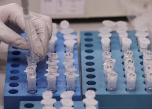 Главная новость о коронавирусе