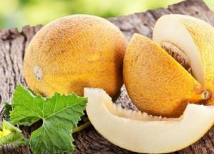 Польза дыни: стройность, красота и здоровье в каждой дольке