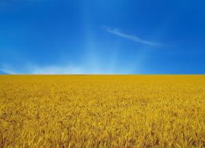 ​Какая страна хуже Украины?