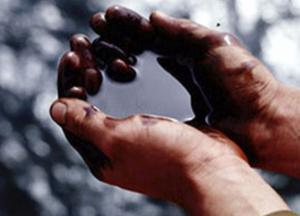  Из-за глупости или за деньги?