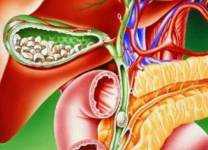 Медики подсказали, как распознать заболевания печени