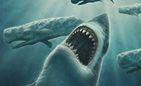 Гигантская акула мегалодон не вымерла?