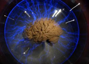 Игры разума