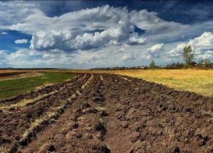 ​Мораторий на землю выгоден России, коррупционеру и олигарху