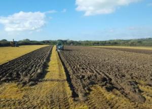 «На земельном рынке начнется стрельба и рейдерство»: Корбан объяснил, почему вернутся 90-е