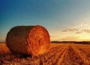 Введение пошлин на импорт ДТ может сорвать уборочную и следующую посевную кампанию