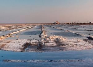 Крым все ближе к своему первозданному виду – суровый солончак