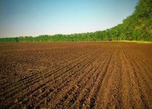 Продление земельного моратория: почему собственники земли останутся бедными