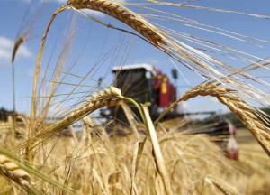 Как Украина теряет урожай из-за изменения климата 