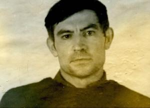 Трилер про Василя Стуса