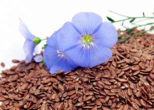 Насіння льону: як і скільки його використовувати з користю для здоров'я